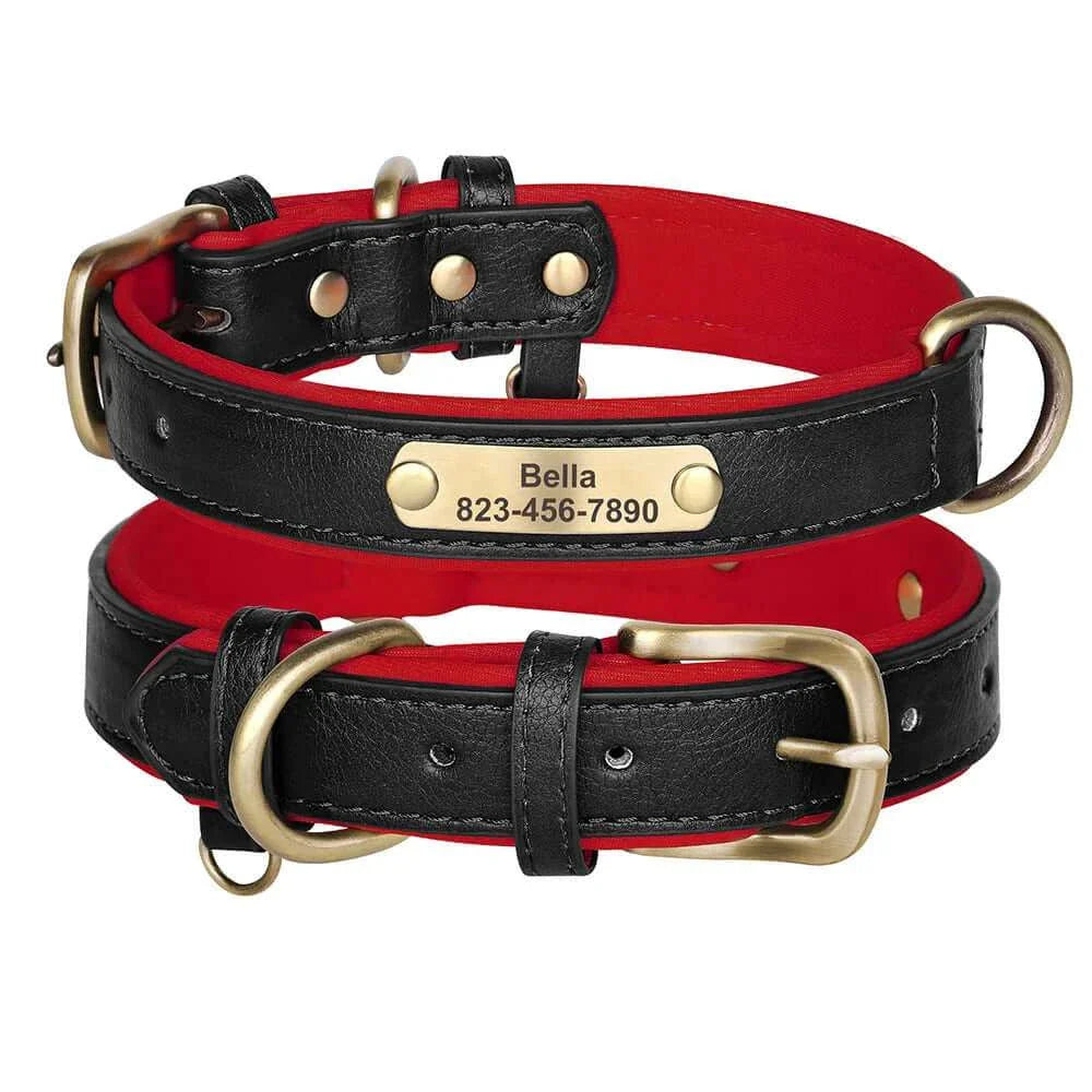 Custom ID Name Dog Collar – Personalized, Durable & Adjustable Collar.