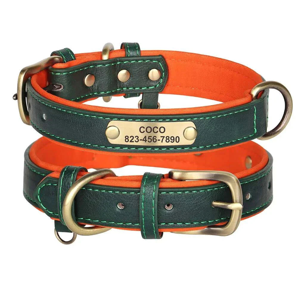 Custom ID Name Dog Collar – Personalized, Durable & Adjustable Collar.