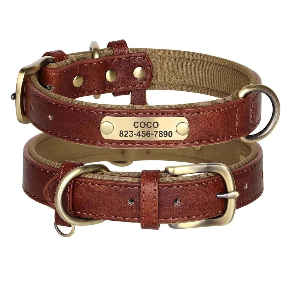 Custom ID Name Dog Collar – Personalized, Durable & Adjustable Collar.