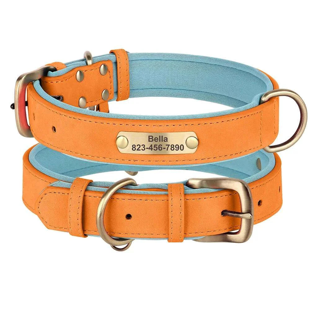 Custom ID Name Dog Collar – Personalized, Durable & Adjustable Collar.