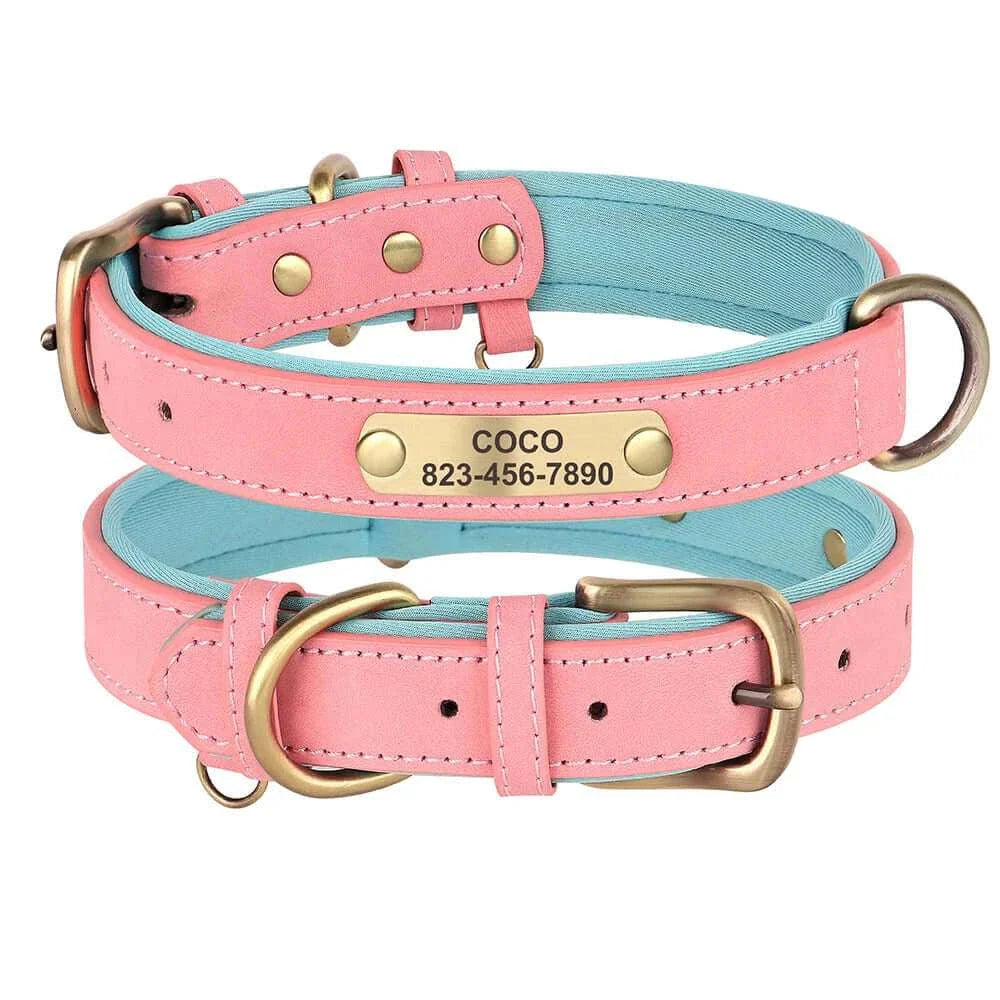 Custom ID Name Dog Collar – Personalized, Durable & Adjustable Collar.