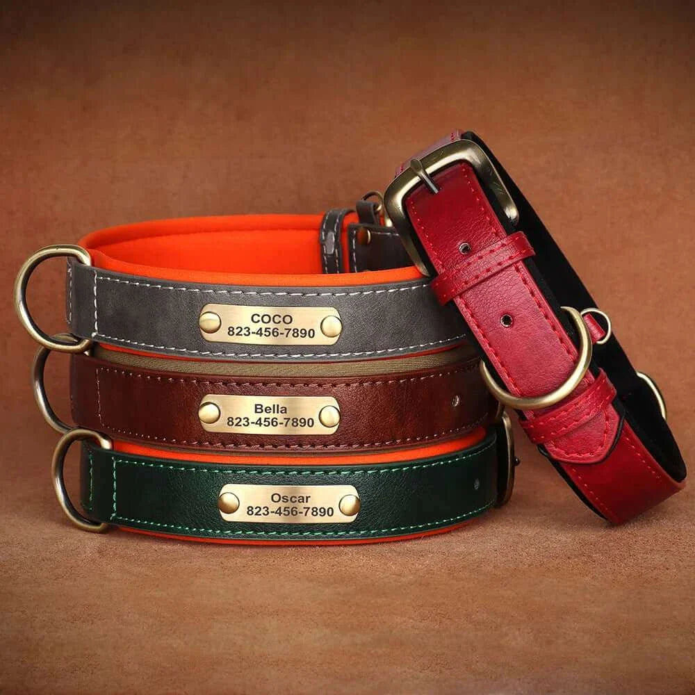 Custom ID Name Dog Collar – Personalized, Durable & Adjustable Collar.
