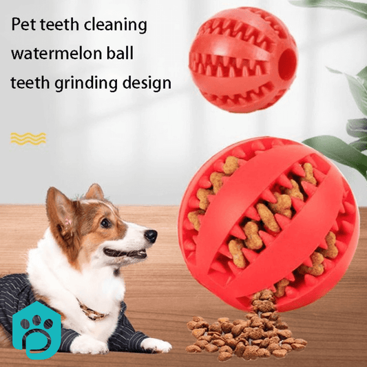 Natural Rubber Chew Treat Ball