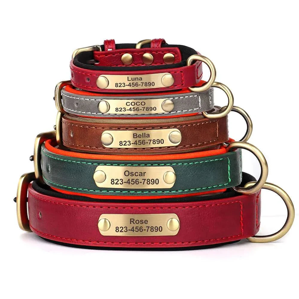 Custom ID Name Dog Collar – Personalized, Durable & Adjustable Collar.