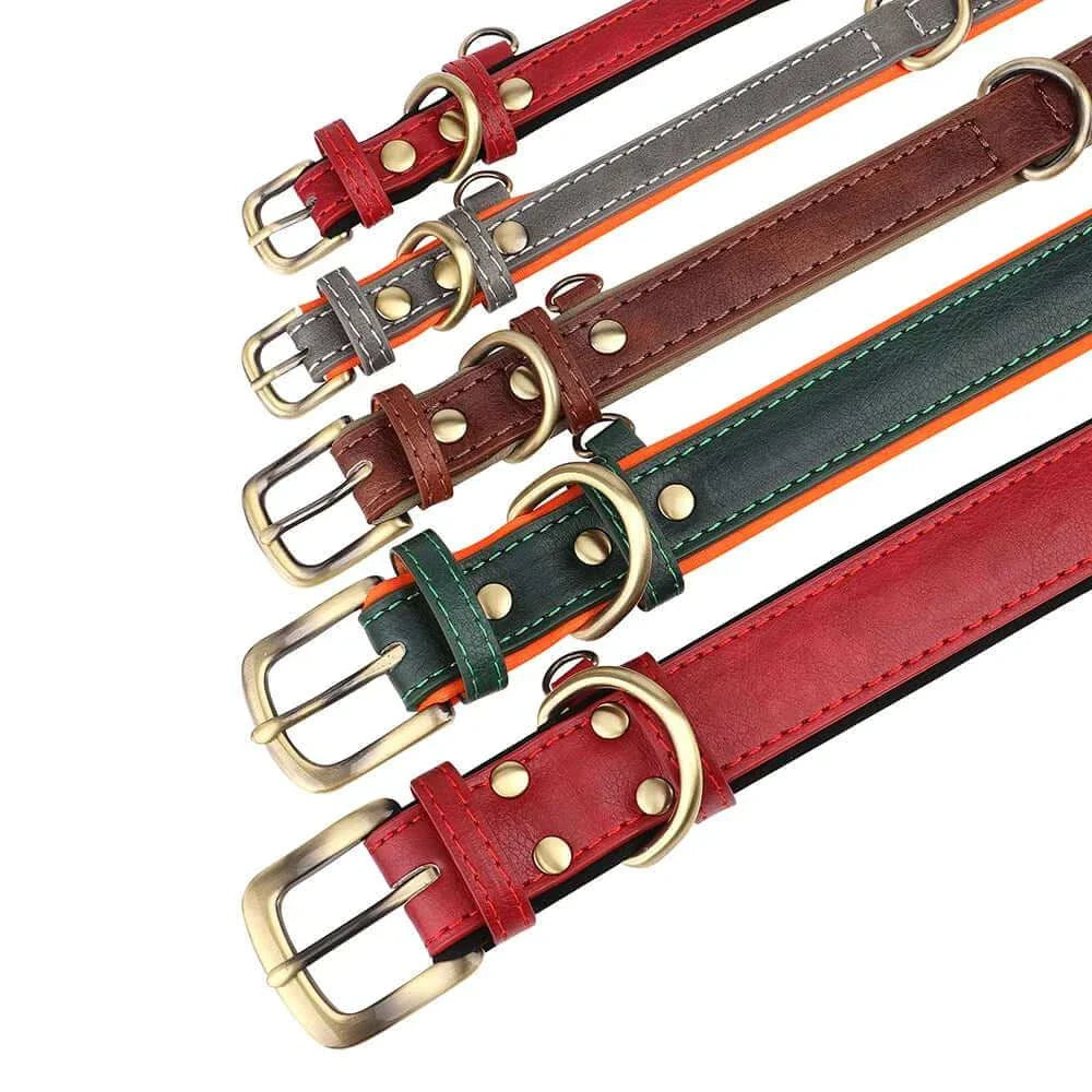 Custom ID Name Dog Collar – Personalized, Durable & Adjustable Collar.