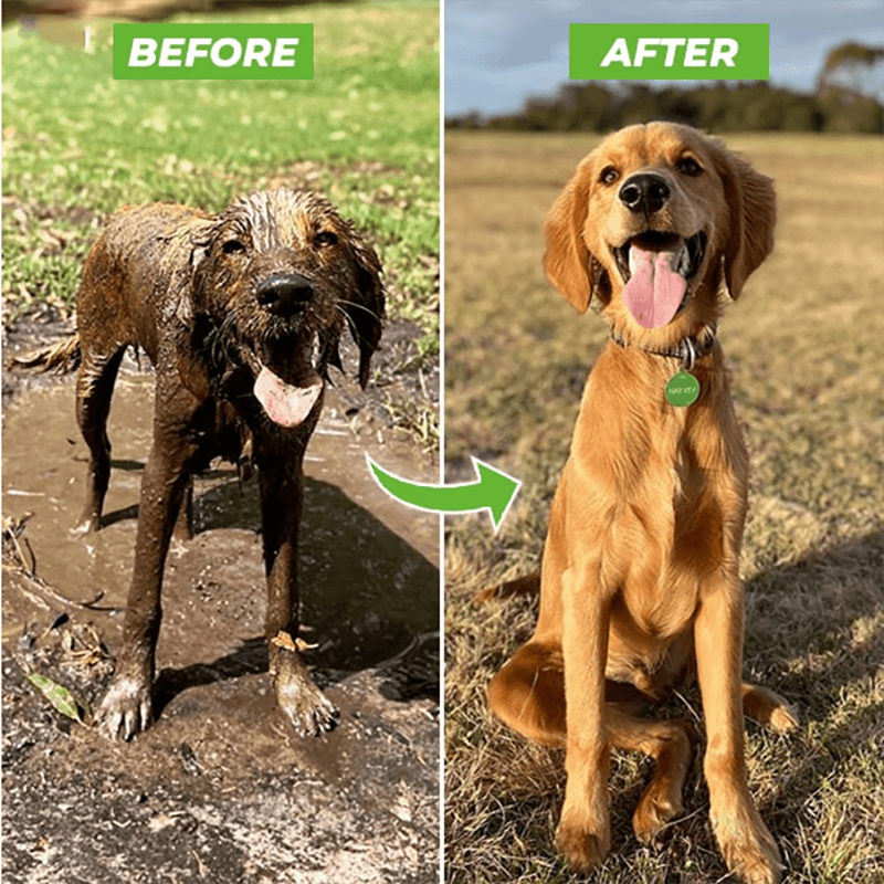 Pup Spray Master Pro