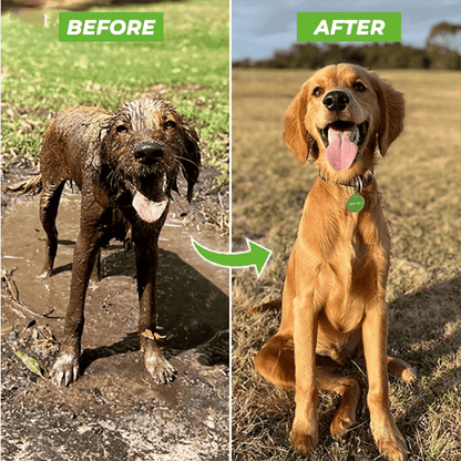 Pup Spray Master Pro