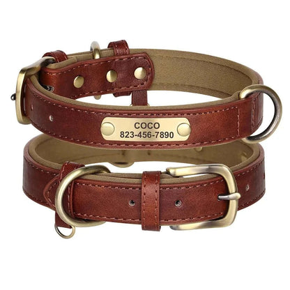 Custom ID Name Dog Collar – Personalized, Durable & Adjustable Collar.