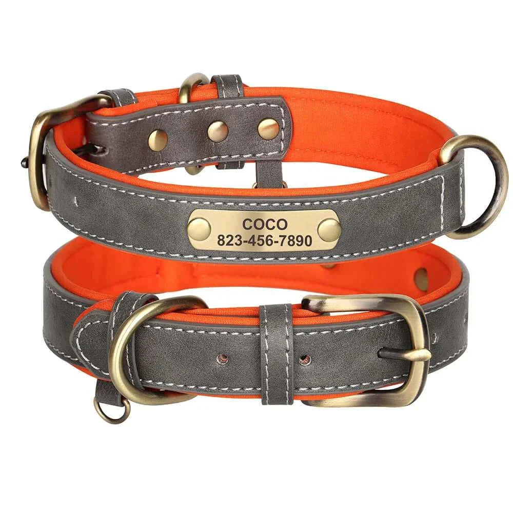 Custom ID Name Dog Collar – Personalized, Durable & Adjustable Collar.