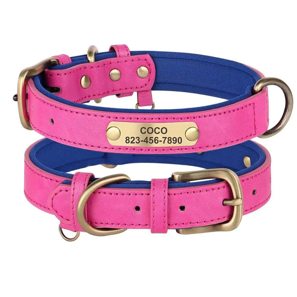 Custom ID Name Dog Collar – Personalized, Durable & Adjustable Collar.