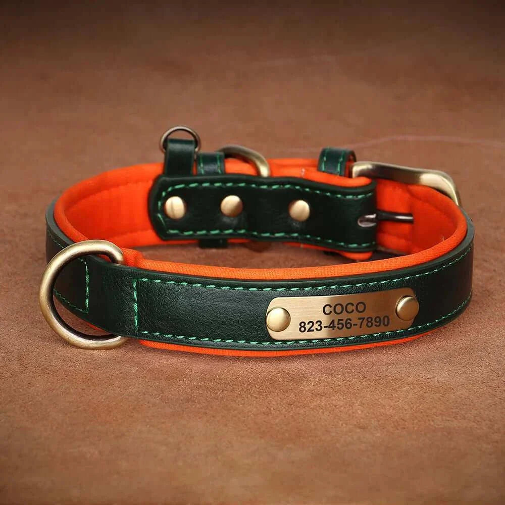 Custom ID Name Dog Collar – Personalized, Durable & Adjustable Collar.