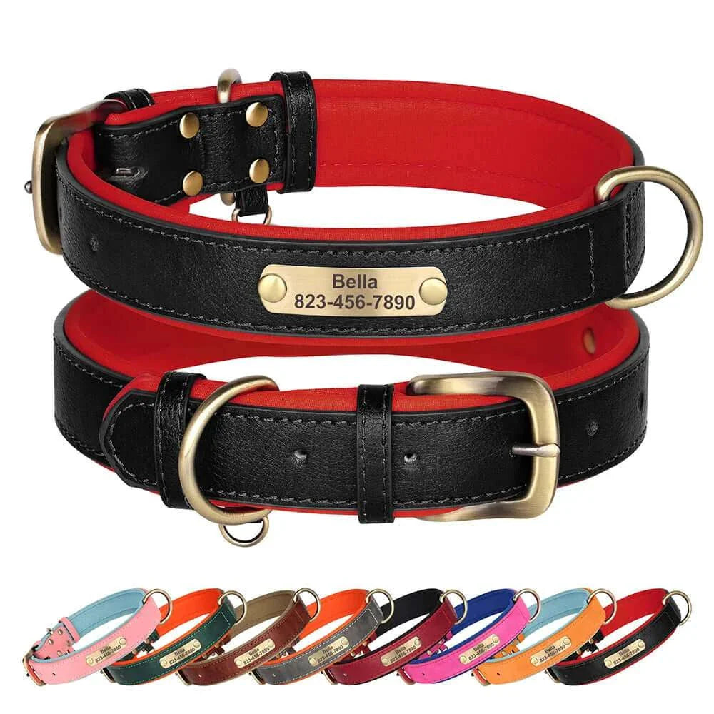Custom ID Name Dog Collar – Personalized, Durable & Adjustable Collar.