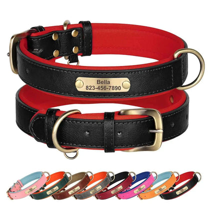 Custom ID Name Dog Collar – Personalized, Durable & Adjustable Collar.