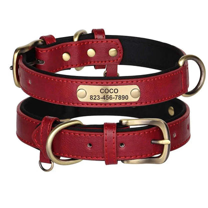 Custom ID Name Dog Collar – Personalized, Durable & Adjustable Collar.
